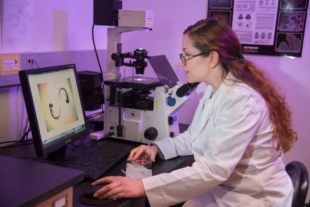 Student in biology lab doing zebrafish research